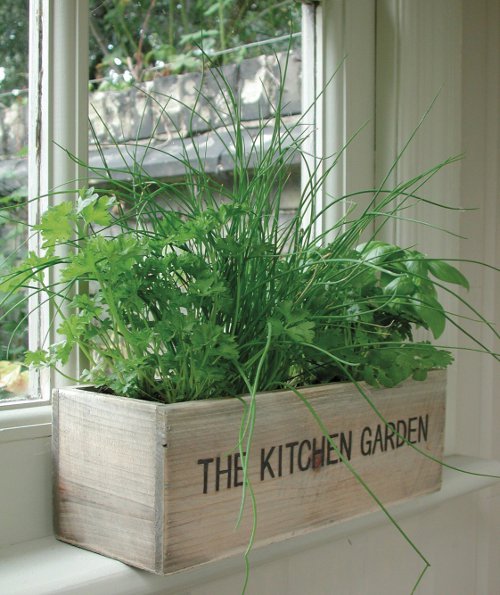 kitchen gardening