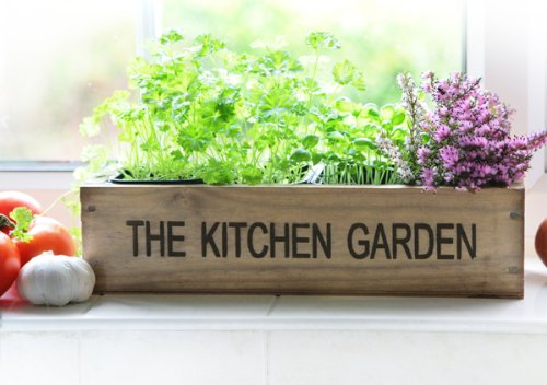 kitchen garden