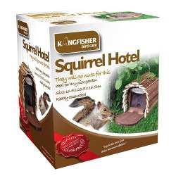 squirrel hotel