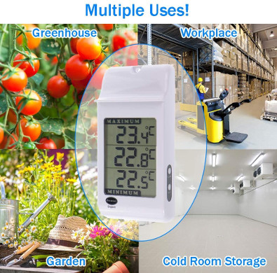 Greenhouse Thermometer