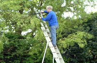 ladder safety