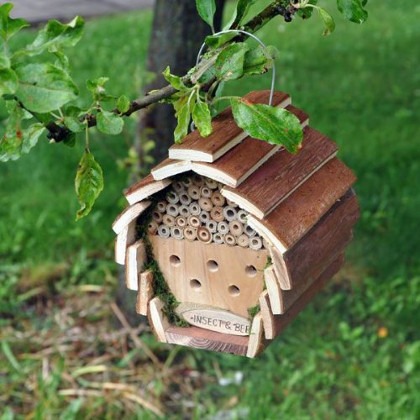 Insect Hotel