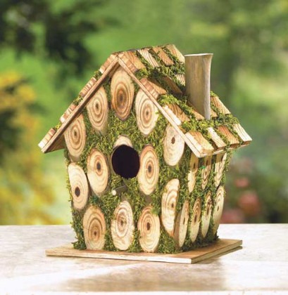 bird home