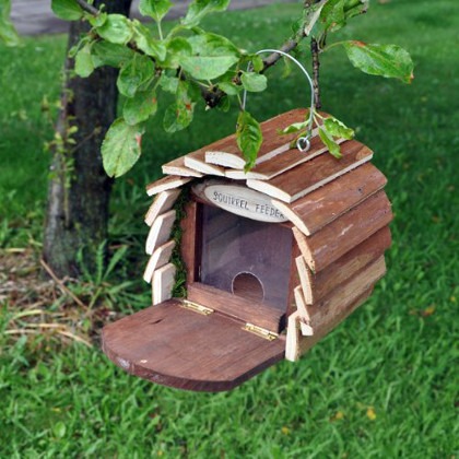 squirrel hotel