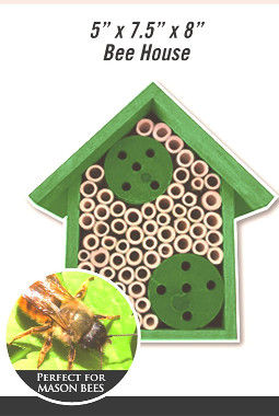 honey bees hotel